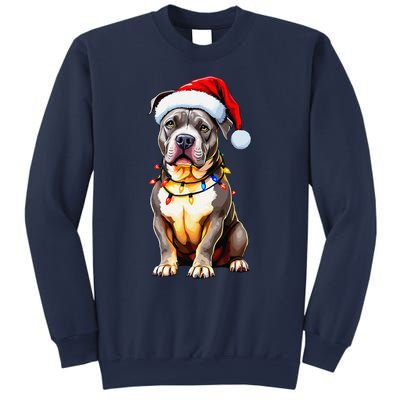 Funny Pitbull Pittie Santa Dog Lover Xmas Christmas Lights Sweatshirt