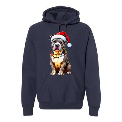 Funny Pitbull Pittie Santa Dog Lover Xmas Christmas Lights Premium Hoodie