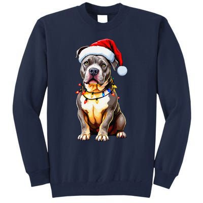 Funny Pitbull Pittie Santa Dog Lover Xmas Christmas Lights Tall Sweatshirt