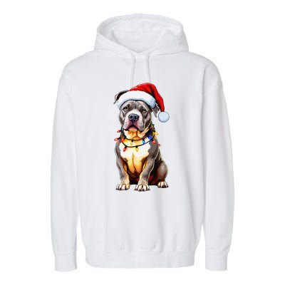 Funny Pitbull Pittie Santa Dog Lover Xmas Christmas Lights Garment-Dyed Fleece Hoodie