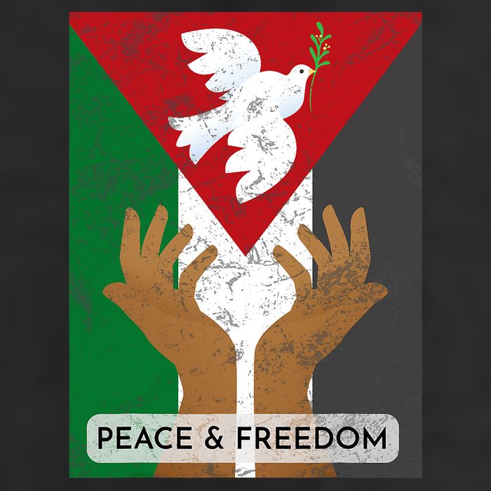 Free Palestine Peace & Freedom Support Palestine And Gaza 11oz C Handle Ceramic Mug