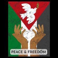 Free Palestine Peace & Freedom Support Palestine And Gaza 16 in Basic Backpack