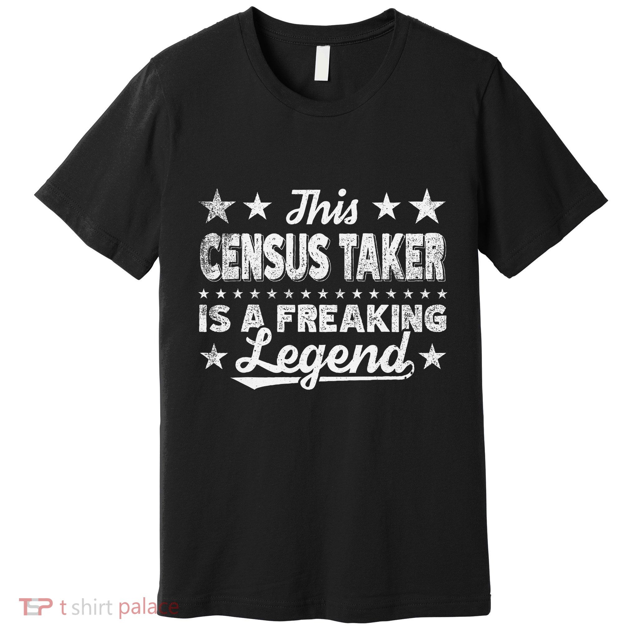 Funny Profession Quote Calibration Technician Premium T-Shirt