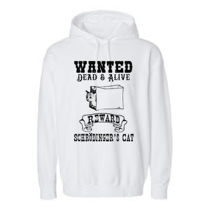 Funny Physics Quantum Mechanics Science Joke Gift Garment-Dyed Fleece Hoodie