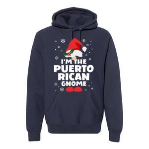 Funny Puerto Rican Gnome Family Matching Group Christmas Premium Hoodie