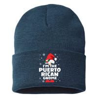 Funny Puerto Rican Gnome Family Matching Group Christmas Sustainable Knit Beanie