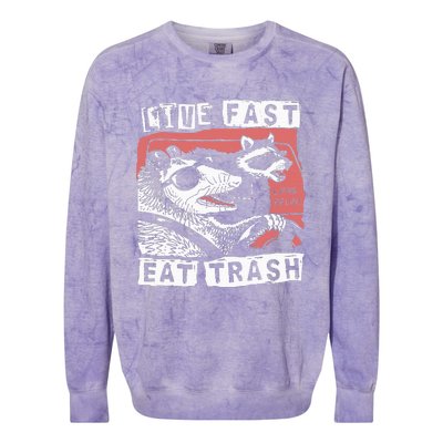 Funny Possum Raccoon Live Fast Eat Trash Street Colorblast Crewneck Sweatshirt