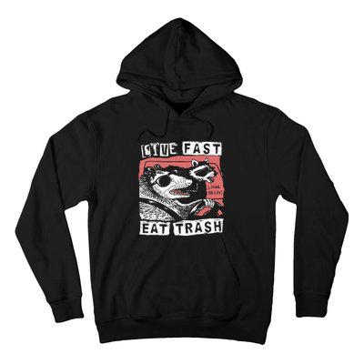 Funny Possum Raccoon Live Fast Eat Trash Street Hoodie