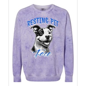 Funny Pitbull Resting Pit Face Humor Colorblast Crewneck Sweatshirt