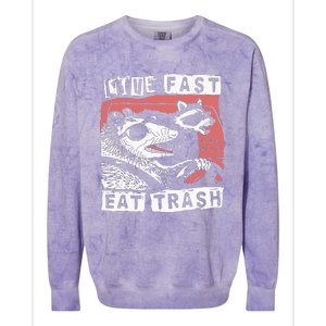 Funny Possum Raccoon Live Fast Eat Trash Cats Squad Colorblast Crewneck Sweatshirt