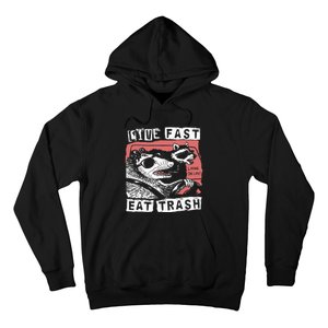 Funny Possum Raccoon Live Fast Eat Trash Cats Squad Hoodie