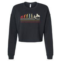 Funny Piano Retro Vintage Evolution Of Man Cropped Pullover Crew