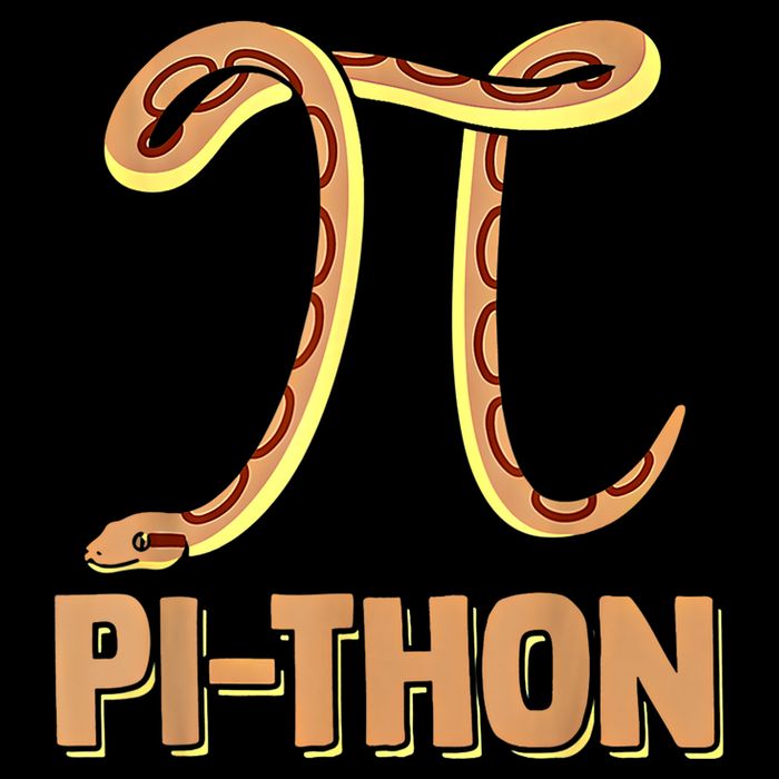 Funny Python Snake Math Pi Symbol Pi Day Meaningful Gift Bucket Hat