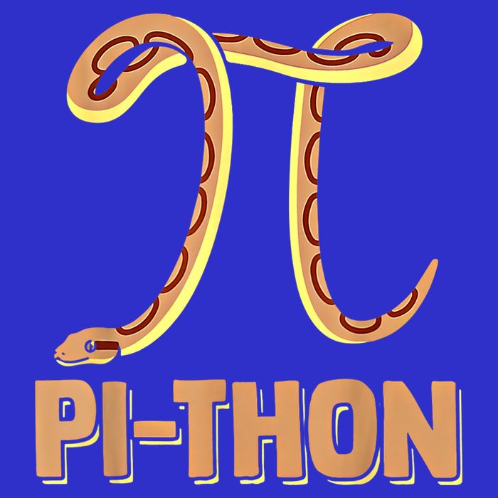 Funny Python Snake Math Pi Symbol Pi Day Meaningful Gift Tall T-Shirt