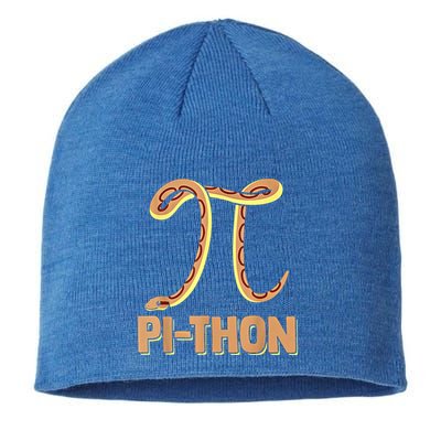 Funny Python Snake Math Pi Symbol Pi Day Meaningful Gift Sustainable Beanie