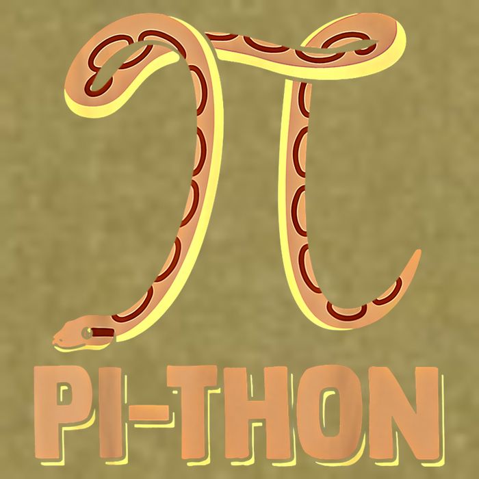 Funny Python Snake Math Pi Symbol Pi Day Meaningful Gift Garment-Dyed Women's Muscle Tee