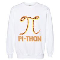 Funny Python Snake Math Pi Symbol Pi Day Meaningful Gift Garment-Dyed Sweatshirt
