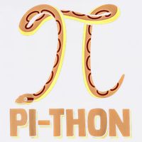 Funny Python Snake Math Pi Symbol Pi Day Meaningful Gift Garment-Dyed Sweatshirt
