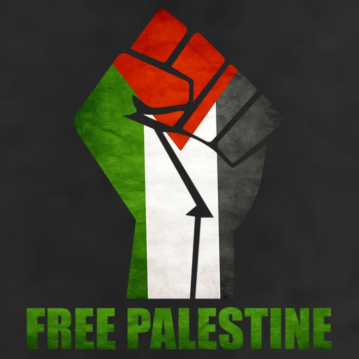 Free Palestine Supports Palestine And Arab Gift Beanie