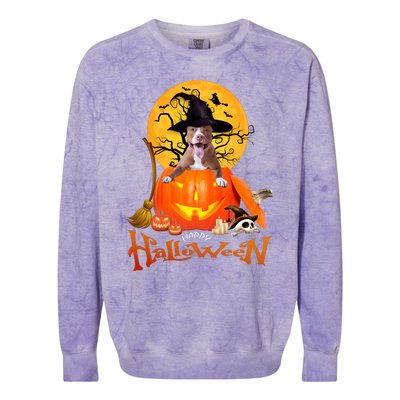 Funny Pitbull Spooky Halloween Colorblast Crewneck Sweatshirt