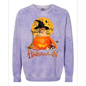 Funny Pomeranian Spooky Halloween Colorblast Crewneck Sweatshirt