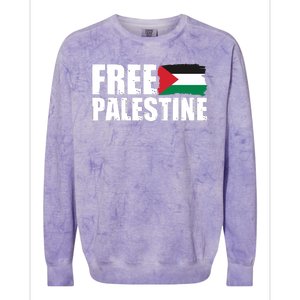 Free Palestine Support Stand With Palestine Colorblast Crewneck Sweatshirt