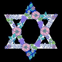 Floral Peace Sign Isreal Wool Snapback Cap