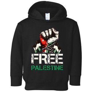 Free Palestine Save Gaza Strip Palestine Flag Toddler Hoodie