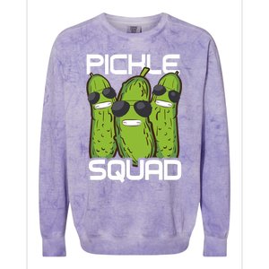 Funny Pickle Squad Novelty Gift Big Dill Gang Lover Colorblast Crewneck Sweatshirt