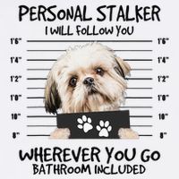 Funny Personal Stalker Shih Tzu Dog Lover Adult Drive Performance Visor