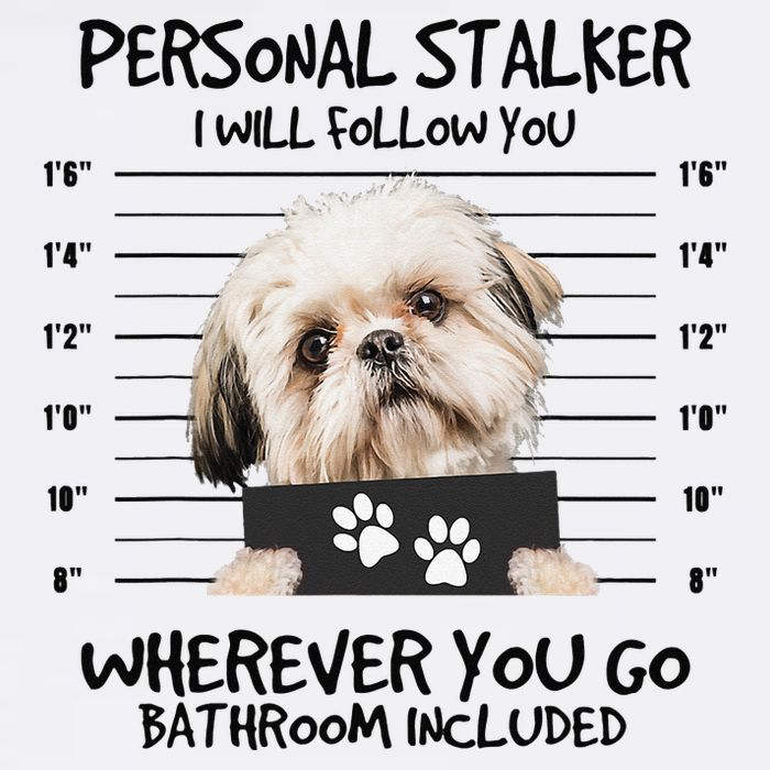 Funny Personal Stalker Shih Tzu Dog Lover Adult Drive Performance Visor