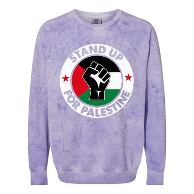 Free Palestine Stand up For Palestine Colorblast Crewneck Sweatshirt