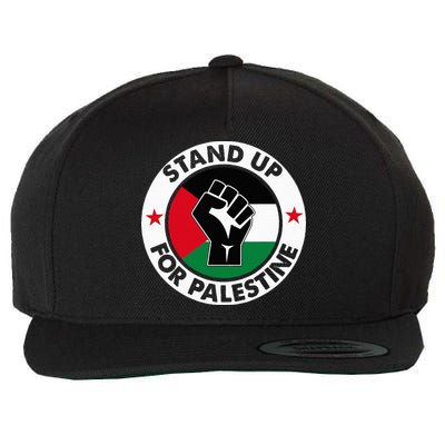 Free Palestine Stand up For Palestine Wool Snapback Cap
