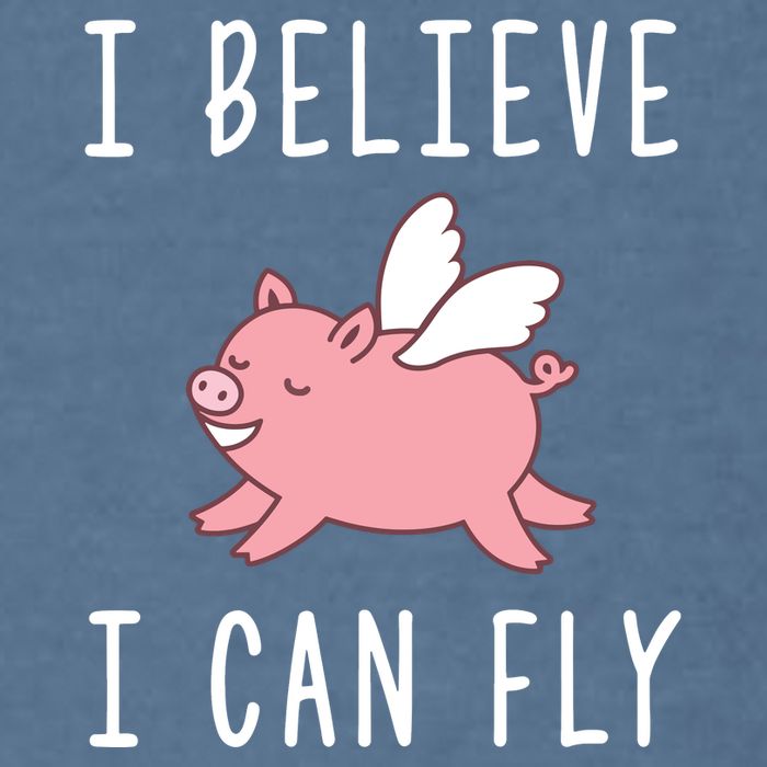 Flying Pig Shirts When Pigs Fly I Believe I Can Fly Garment-Dyed Sweatshirt