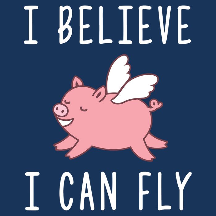 Flying Pig Shirts When Pigs Fly I Believe I Can Fly Drawstring Bag