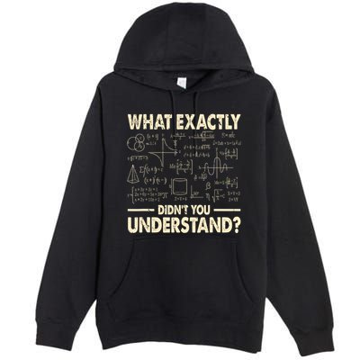 Funny Physicist Scienctist Nerd Geek Gift Physics Premium Pullover Hoodie