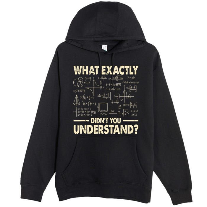 Funny Physicist Scienctist Nerd Geek Gift Physics Premium Pullover Hoodie