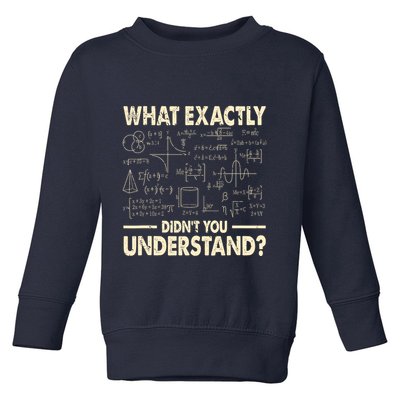 Funny Physicist Scienctist Nerd Geek Gift Physics Toddler Sweatshirt