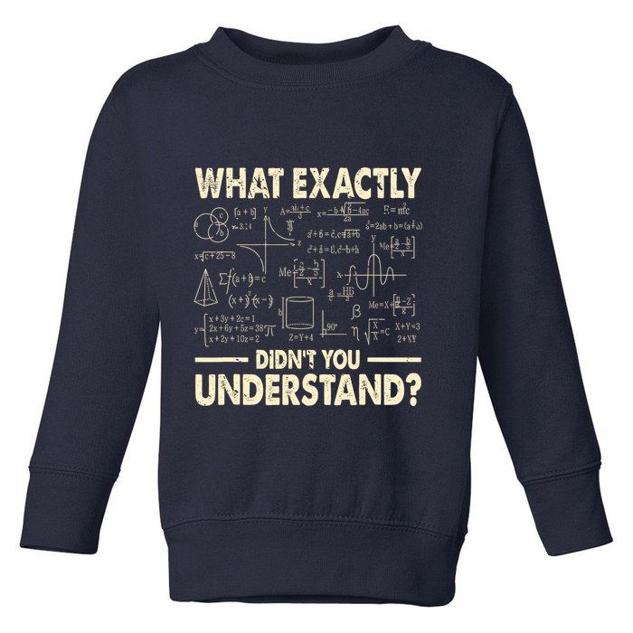 Funny Physicist Scienctist Nerd Geek Gift Physics Toddler Sweatshirt