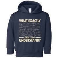 Funny Physicist Scienctist Nerd Geek Gift Physics Toddler Hoodie