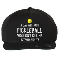 Funny Pickleball Saying Pickleball Player Wool Snapback Cap