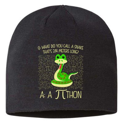 Funny Python Snake Pi Day Sustainable Beanie