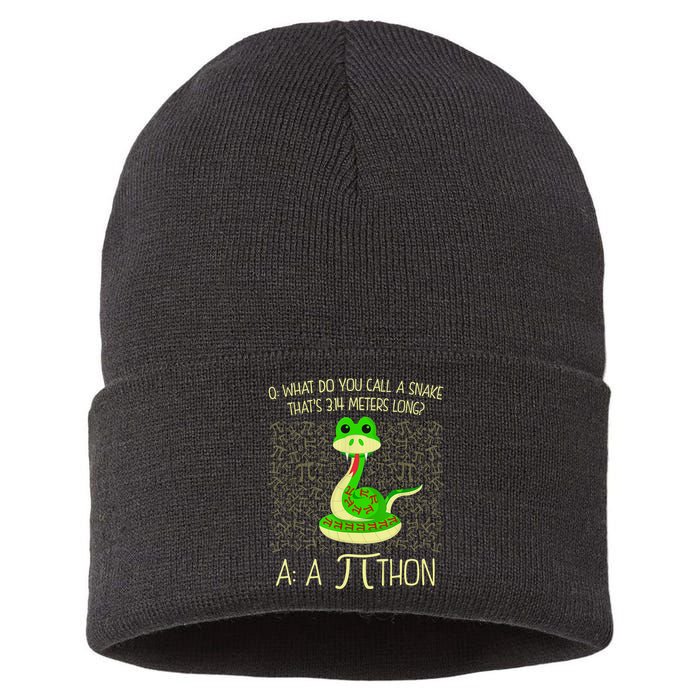 Funny Python Snake Pi Day Sustainable Knit Beanie