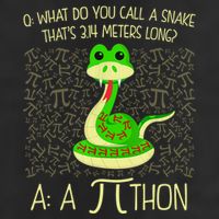 Funny Python Snake Pi Day 25L Jumbo Tote