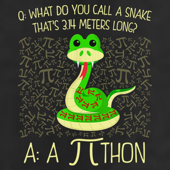 Funny Python Snake Pi Day 25L Jumbo Tote