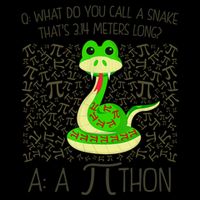 Funny Python Snake Pi Day Baseball Sleeve Shirt