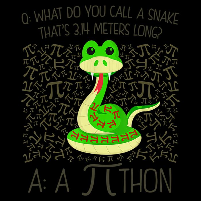 Funny Python Snake Pi Day Baseball Sleeve Shirt