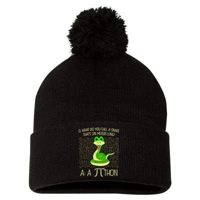Funny Python Snake Pi Day Pom Pom 12in Knit Beanie