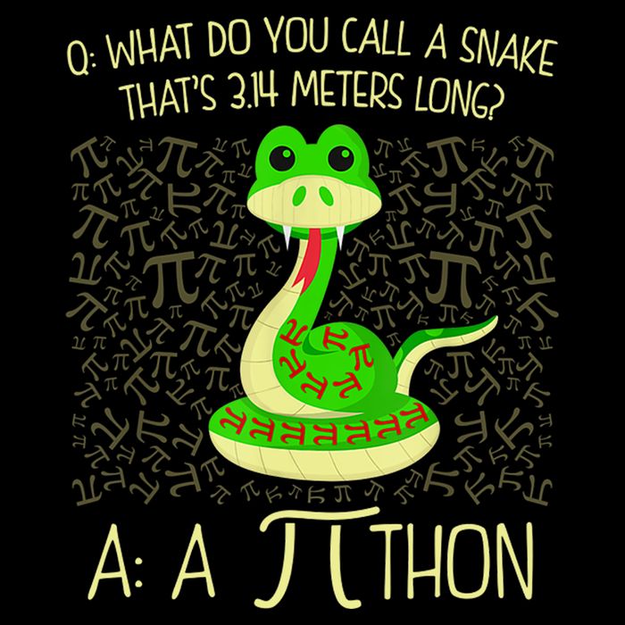 Funny Python Snake Pi Day Zip Tote Bag