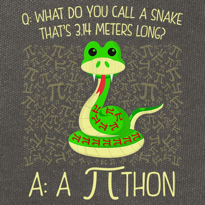 Funny Python Snake Pi Day Cotton Canvas Backpack